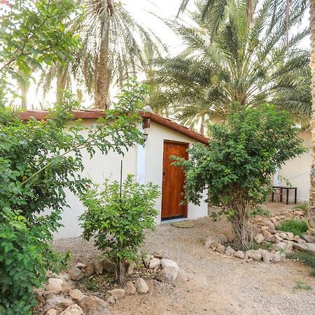 Dar Barka Hotel Kebili Bagian luar foto