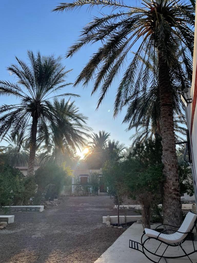 Dar Barka Hotel Kebili Bagian luar foto