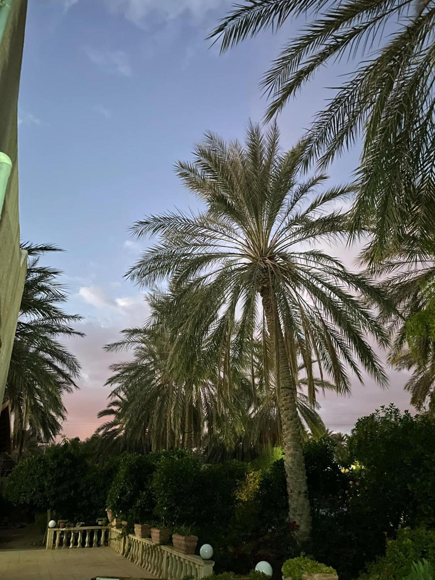 Dar Barka Hotel Kebili Bagian luar foto