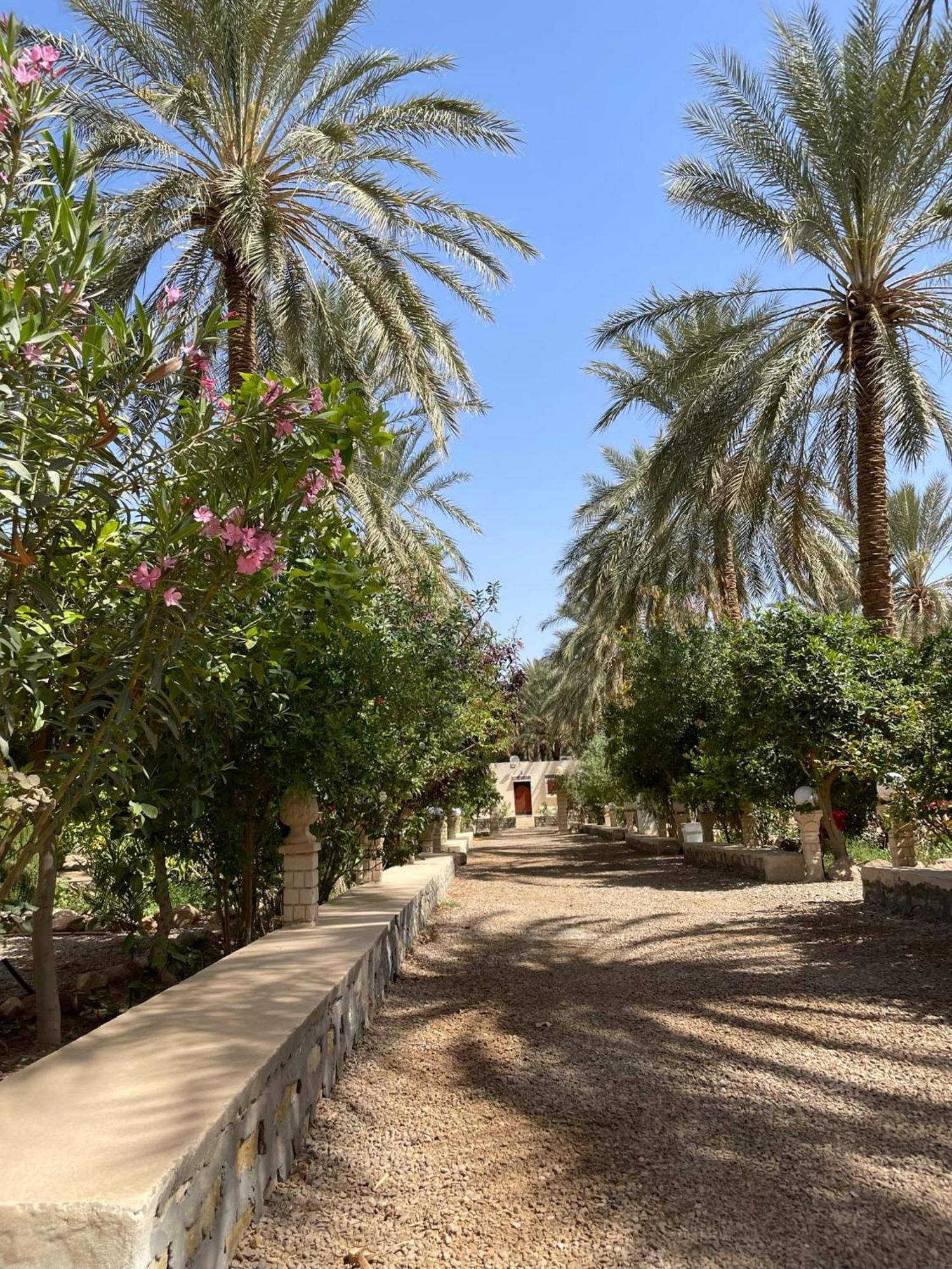 Dar Barka Hotel Kebili Bagian luar foto