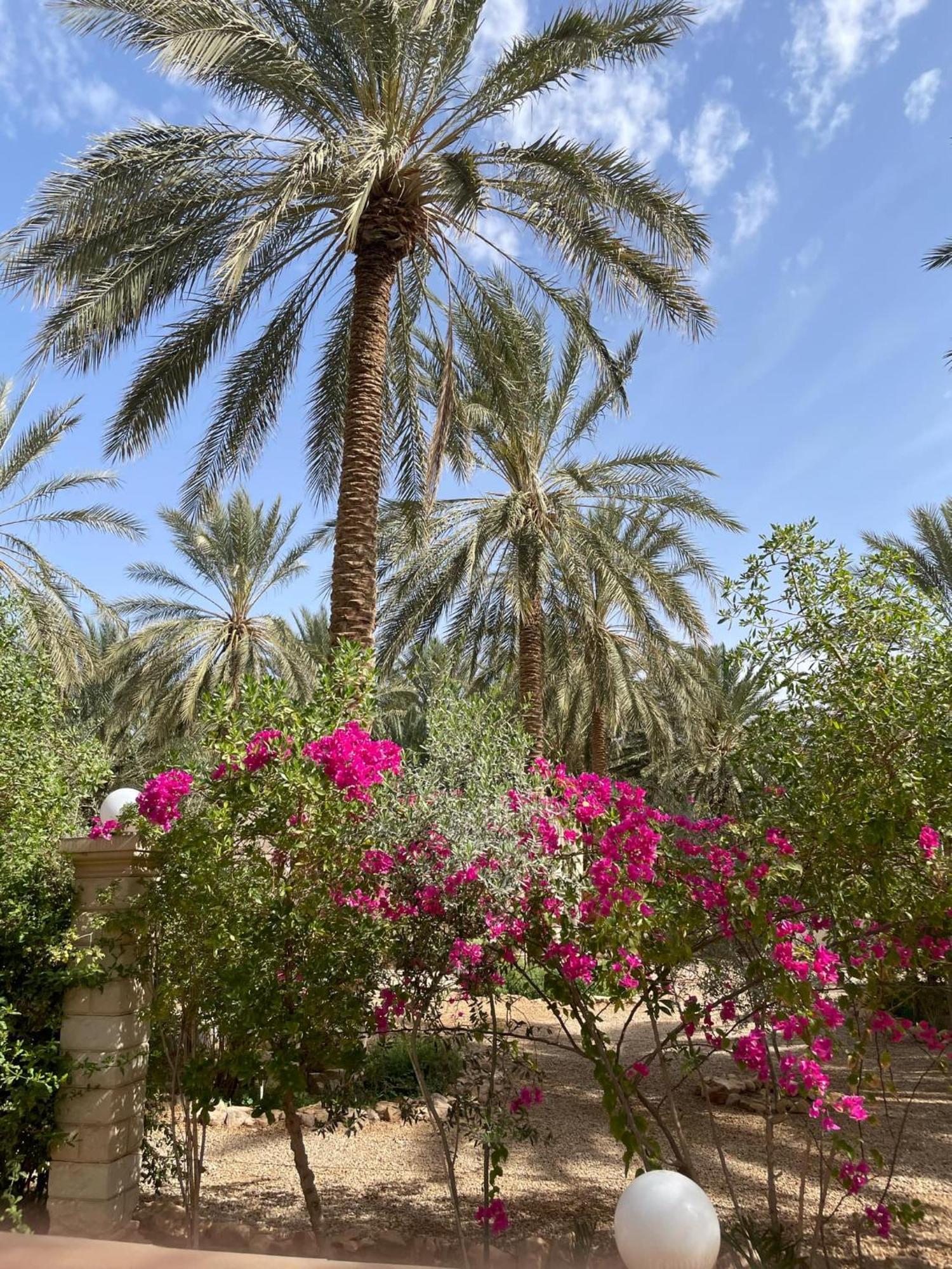 Dar Barka Hotel Kebili Bagian luar foto