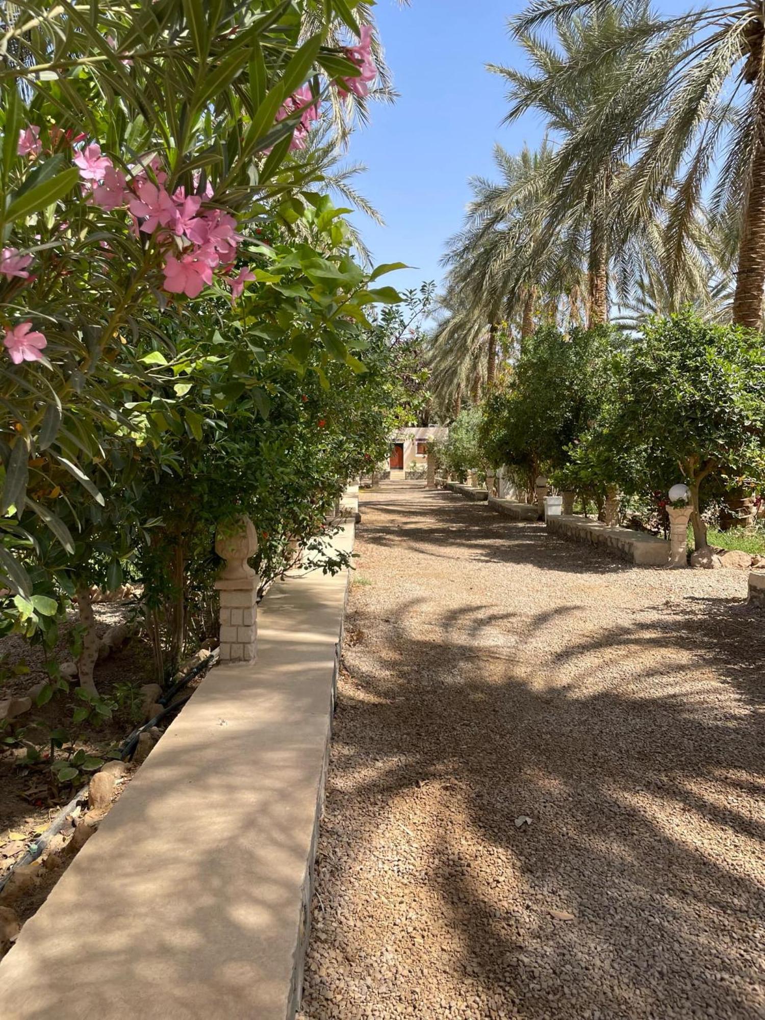 Dar Barka Hotel Kebili Bagian luar foto